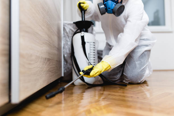 Best Termite Control Services  in Hernando Beach, FL
