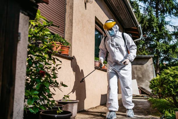 Best Spider Control Near Me  in Hernando Beach, FL