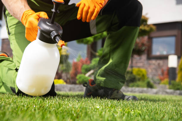 Professional Pest Control in Hernando Beach, FL