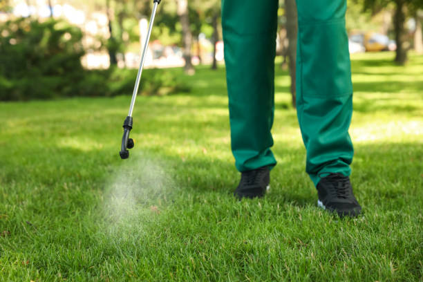 Best Residential Pest Control  in Hernando Beach, FL