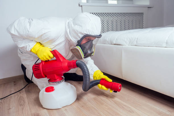 Best Affordable Pest Control Services  in Hernando Beach, FL