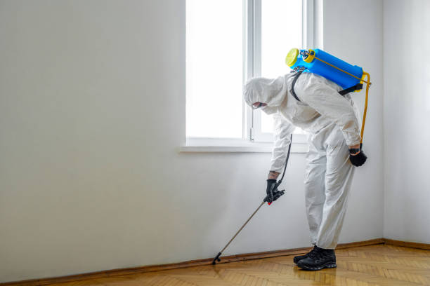 Best Pest Control Near Me  in Hernando Beach, FL