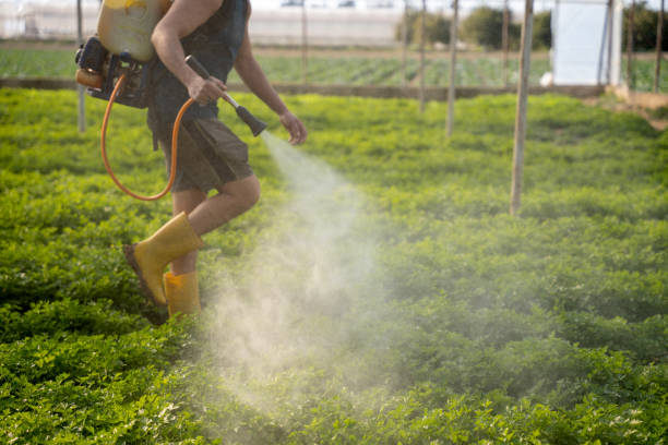 Best Pest Prevention Services  in Hernando Beach, FL