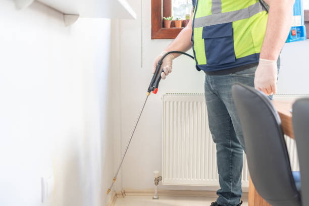 Best Pest Removal Services  in Hernando Beach, FL