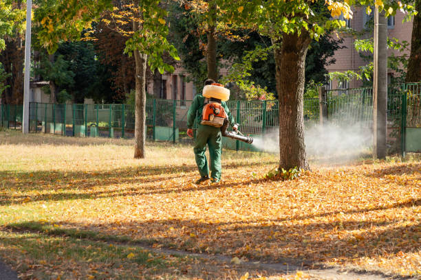 Wasp Removal Services in Hernando Beach, FL