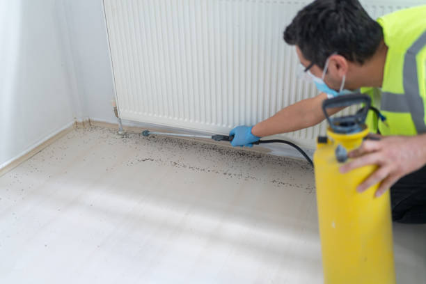 Best Termite Control Services  in Hernando Beach, FL