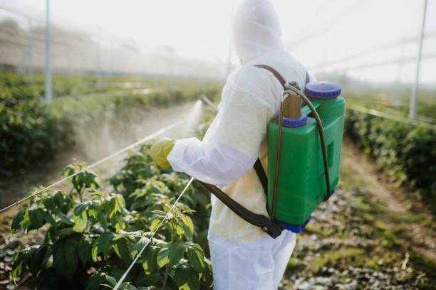  Hernando Beach, FL Pest Control Pros